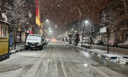 Yüksekova, kar yağışıyla beyaza büründü