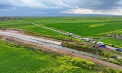 Diyarbakır'da kaybolan 3 yaşındaki çocuk aranıyor