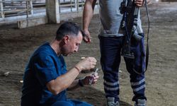 Hayvan yakalama timi, kaçan kurbanlıklar için göreve hazır