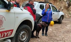 Kayıp demans hastası ormanda ölü bulundu