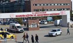 Mardin'de 3 çocuk annesi Kader, evinde ölü bulundu