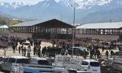 Van'da hayvan pazarında kavga; 1 ölü, 13 yaralı