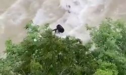 Çoruh Nehri'ne düşen otomobilde kaybolan baba-oğul aranıyor