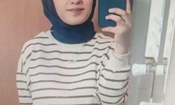 Van Barosu, Rojin Kabaiş dosyasından çekildi