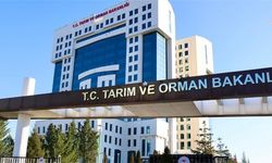 Tarım Orman Bakanlığından "çekirge istilası" haberlerine ilişkin açıklama