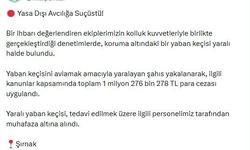 Koruma altındaki yaban keçisini yaralayan avcıya 1,2 milyon lira ceza