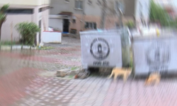Dehşet! Bebeğini çöp konteynerine bıraktı!