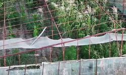 İzmir'de uyuşturucu operasyonu: 1 şüpheli tutuklandı
