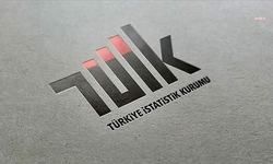 TÜİK verisine göre, suça sürüklenen çocukların yüzde 41,6'sına yaralama suçu isnat edildi