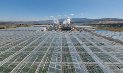 Bakan Yumaklı: Simav Jeotermal Isıtmalı Sera Organize Tarım Bölgesi üretime hazır