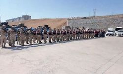 Şanlıurfa'da yeni nesil suç örgütlerine finansman sağlayan 7 şüpheli yakalandı