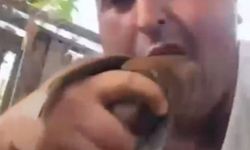 Kuşları öldürüp sanal medyada paylaşan şüpheli tutuklandı