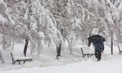 Meteoroloji kar yağışı için tarih verdi!