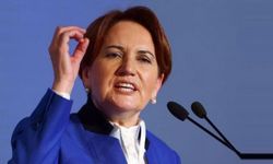 Meral Akşener'den 'taklacı bakan' açıklaması: Teşkilatlarımız Sayın Şahin’in adaylığını çok arzu ediyor...