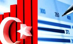 IMF'den Türkiye için 'Karamsar' rapor