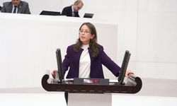 Ersoy'dan Ankara'da yaşanan 'salgın' ile ilgili soru önergesi