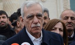 Ahmet Türk: Kobani'ye valinin izniyle gittim