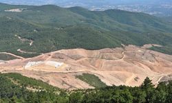 Binlerce ağaç katletmek yetmedi, Kaz Dağları'nı delik deşik edecekler! Tam 155 firma...