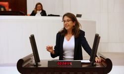 Nadira Kadirova'nın şüpheli ölümü meclis gündemine taşındı