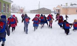 Okullar yarın tatil mi? İşte 12 Şubat Çarşamba günü kar tatili olan iller