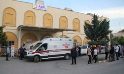 Midyat'ta, kamyonet şarampole devrildi: 1 ölü, 6 yaralı