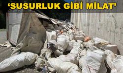 Rize'de devrilen TIR'ın içinden İran'dan getirilen çay çıktı