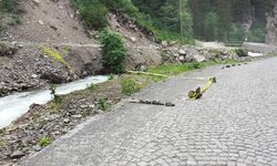 Elektrikli bisikletle dereye düşen kadın hayatını kaybetti