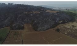 Çanakkale'de yangının boyutu gün ağarınca ortaya çıktı