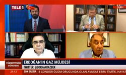 "Türkiye Rusya'ya doğalgaz alım garantisi vermiş; kullanılmayan gaza 2,6 milyar dolar ödedik"