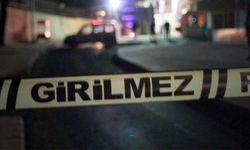 Gezme bahanesiyle aracına bindirdi: Cinsel organını kesti