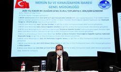 "Siyasi kararlarla Mersin'i yönetemem'