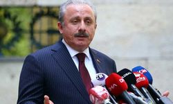 Mustafa Şentop'tan Enis Berberoğlu açıklaması