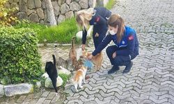 Didim Belediyesi minik dostlarımızı unutmadı