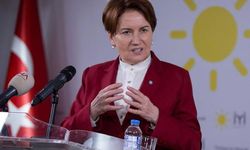 Akşener: Erdoğan'ı küçük ortağını uyarmaya çağırıyorum