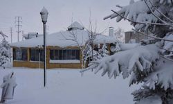 Meteoroloji açıkladı: 11 il için kar, buzlanma ve don uyarısı!