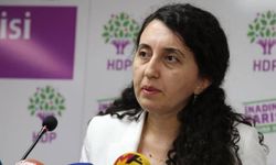 HDP'li Günay: Soğan terörist ilan edilebilir