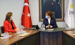 DİSK Genel Başkanı Çerkezoğlu, Akşener'i ziyaret etti