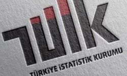 TÜİK'in yüzde 7'lik büyümeyi nasıl hesapladığı ortaya çıktı