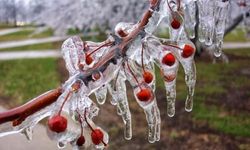 Meteorolojiden don uyarısı!