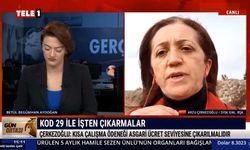 Arzu Çerkezoğlu: Kısa çalışma ödeneği bir can suyuydu