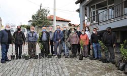 Buca Belediyesi’nden üreticiye 13 çeşit meyve fidanı
