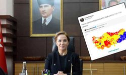 Pervin Buldan'a hakaret tweeti sonrası Uşak Valisi'nden açıklama