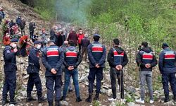 "Tam kapanmayı ağaç katliamı için kullanacaklar"