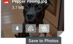 Gmail gönderileri Google Fotoğraflar 'a kayıt edilebilecek