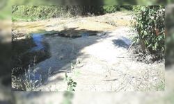 Kolin İnşaat, gölet suyunu kullanarak köylüyü susuz bıraktı!