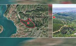 Beykoz'da ormanlık alanı katledecekleler