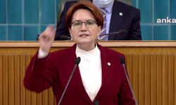 Meral Akşener: Artagan'la herkes geliri üzerinden vergi ödeyecek