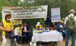 Validebağ Korusu'nda nöbet başladı! "Ağaçlar bile küstü"