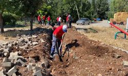 Nar Masa'dan 'Acil Çözüm'