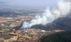Foça'da orman yangını